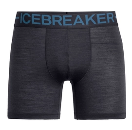 Boxer Shorts Icebreaker Men Anatomica Zone Boxers Panther Thunder