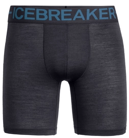 Unterwäsche Icebreaker Anatomica Zone Long Boxers Panther Thunder Herren