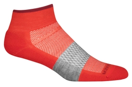 Socken Icebreaker Multisport Light Mini Lave Grape Herren