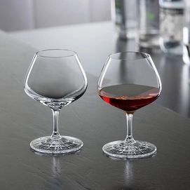 Spiegelau-Perfect-Serve-Collection-Perfect-Nosing-Glass-4500178 (2)