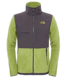 Jacket The North Face Men's Denali II Grip Green