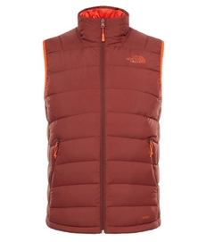 Gilet Sans Manche The North Face Men's La Paz Sequoia