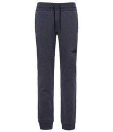 Trainingshose The North Face Men NSE Fine Pants Dunkelgrau Herren