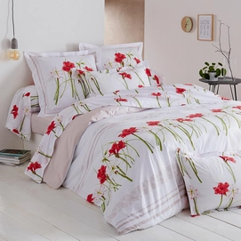 Taie d'oreiller Tradilinge Amaryllis Cotton (65 x 65 cm)