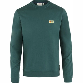 Pullover Fjällräven Vardag Sweater M Arctic Green Herren-XS