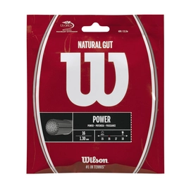 Tennissaite Wilson Natural Gut 1,3mm/12m