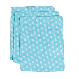 Washandje Briljant Hydrofiel Puck Mint (set van 3)