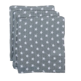 Washandje Briljant Hydrofiel Sam Grijs (set van 3)