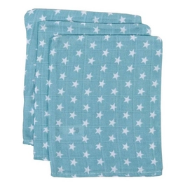 Washandje Briljant Hydrofiel Sam Jade (set van 3)
