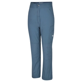 Trousers Dare2B Kids Reprise Meteor Grey
