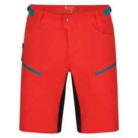 Korte Broek Dare2B Men Renew Short Fiery Red