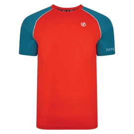 T-Shirt Dare2B Men Institute Wool T Fiery Red Ocean