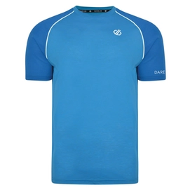T-Shirt Dare2B Men Institute Wool T Atlantic Ptr