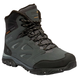 Wandelschoenen Men Regatta Holcombe IEP Thermo Briar Black
