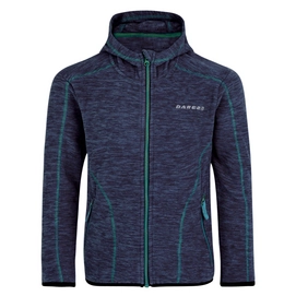 Fleecejacke Dare2B Entreat II Fleece Admiral Blue Kinder
