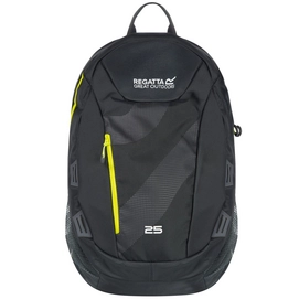 Rucksack Regatta Altorock II 25L Seal Grau