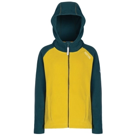 Gilet Regatta Upflow Antique Moss