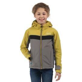 Veste Regatta Drizzle Antique Moss