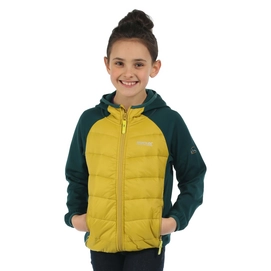 Veste Regatta Kielder Antique Moss