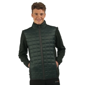 Sweatjacke Regatta Chilton Hybrid Dark Forest Herren
