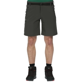 Shorts Regatta Mens Xert Str II Seal Grey