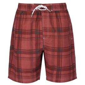 Zwembroek Regatta Mens Hadden Board Short Cowhide