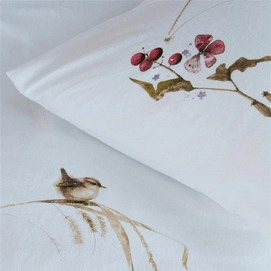 Winter Wren_Multi_Detail