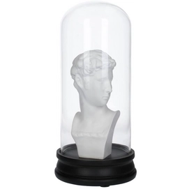 Ornament HD Living Dome David White 14 x 14 cm