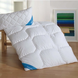 Couette 4 Saisons Frankenstolz Aloe Vera