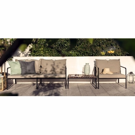 AVON_Ash_banner