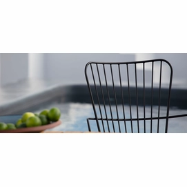 banner_MG_1605_PAON