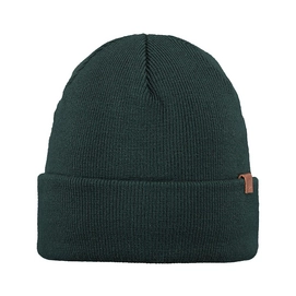 Muts Barts Willes Beanie Bottle Green