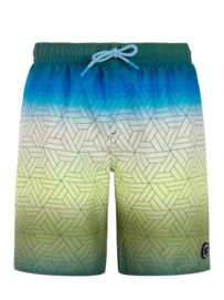 Beachshort Protest Boys PRTChopper JR Thyme Regular Fit