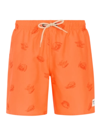 Beachshort Protest Boys PRTHector JR Burnt Peach Regular Fit