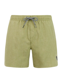 Beachshort Protest Men Davey Fern Green Regular Fit