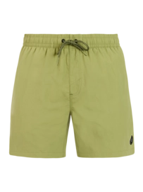 Beachshort Protest Men Faster Fern Green Regular Fit
