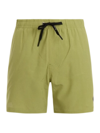 Beachshort Protest Men PRTAdonia Fern Green Regular Fit