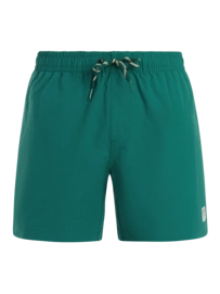 Beachshort Protest Men PRTAgden Dark Teal Regular Fit