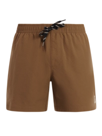 Beachshort Protest Men PRTAgden Hazelnut Brown Regular Fit