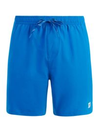 Beachshort Protest Men PRTBaky Cali Blue Regular Fit