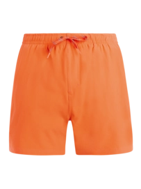 Beachshort Protest Men PRTIgapo Burnt Peach Regular Fit