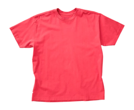 T-Shirt Tenue. Men Bruce Barry