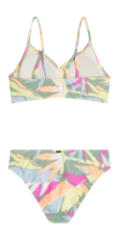 2---3800095_36104_11_PACK_466