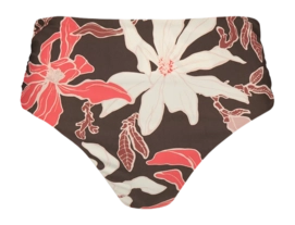 Bikinibroekje Barts Women Camolo High Waist Briefs Coffee Regular Fit