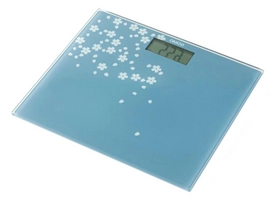 Balance Domo Bleu DO9102W