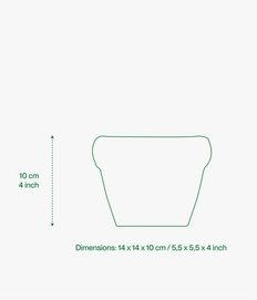 5---Asset_6 (1)