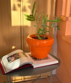 3---Carrot-big-planter (1)