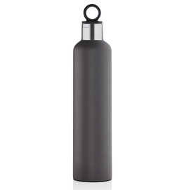 Bouteille Thermos Blomus 2GO Grey 750 ml