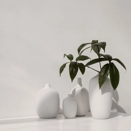 blomus_5225_CEOLA