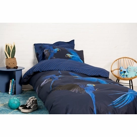 Blue_Parrot_1persoons_rgb-4175